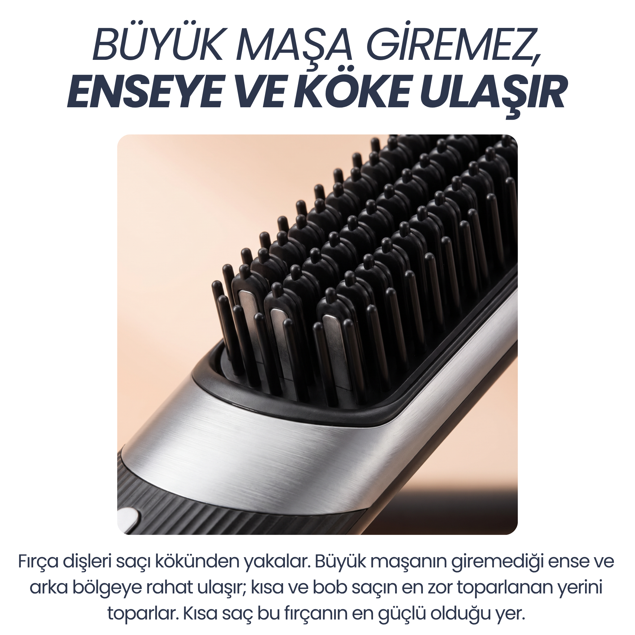 Enseye ve köke ulaşır